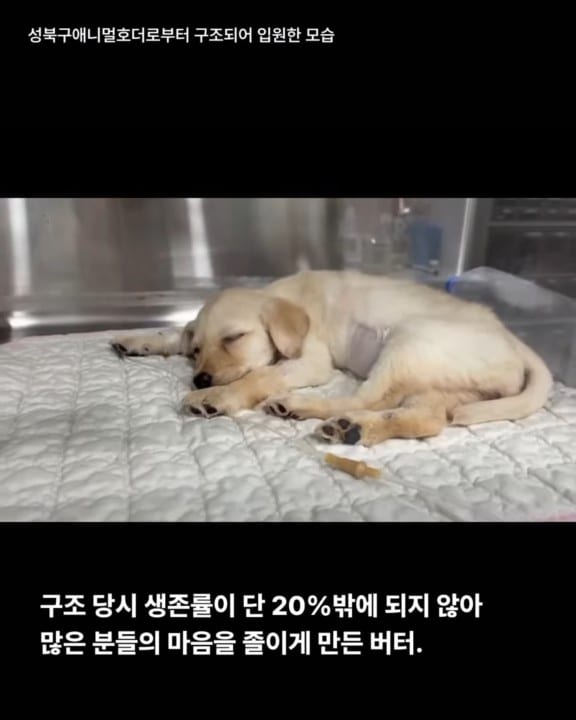 상세 사진 2