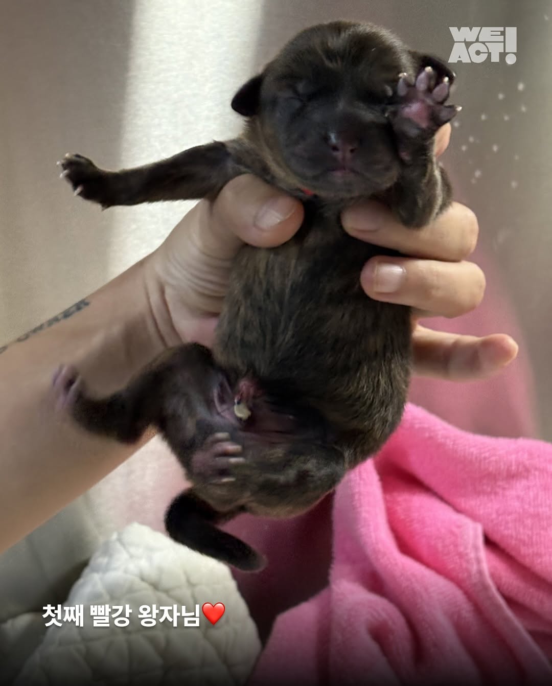상세 사진 3