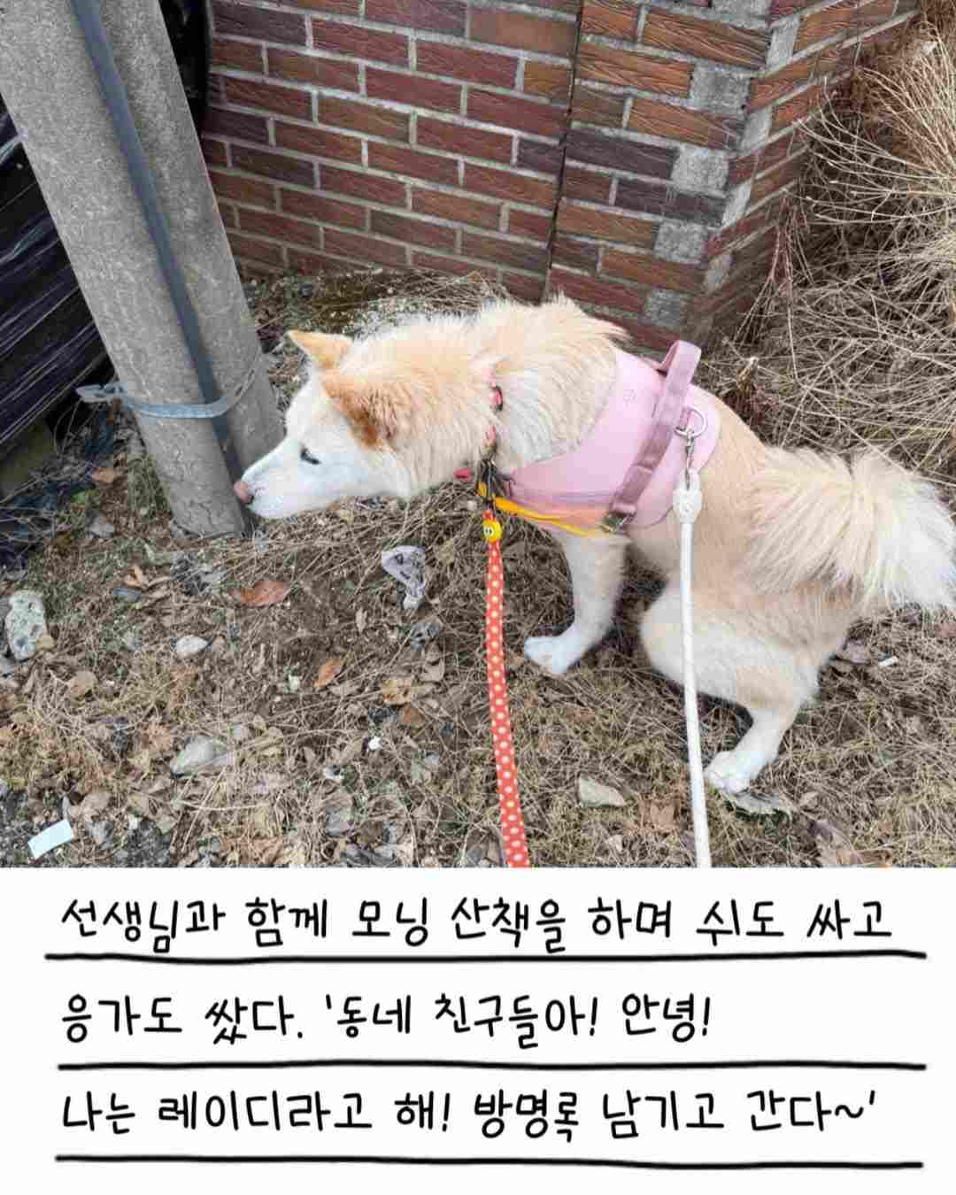 상세 사진 9