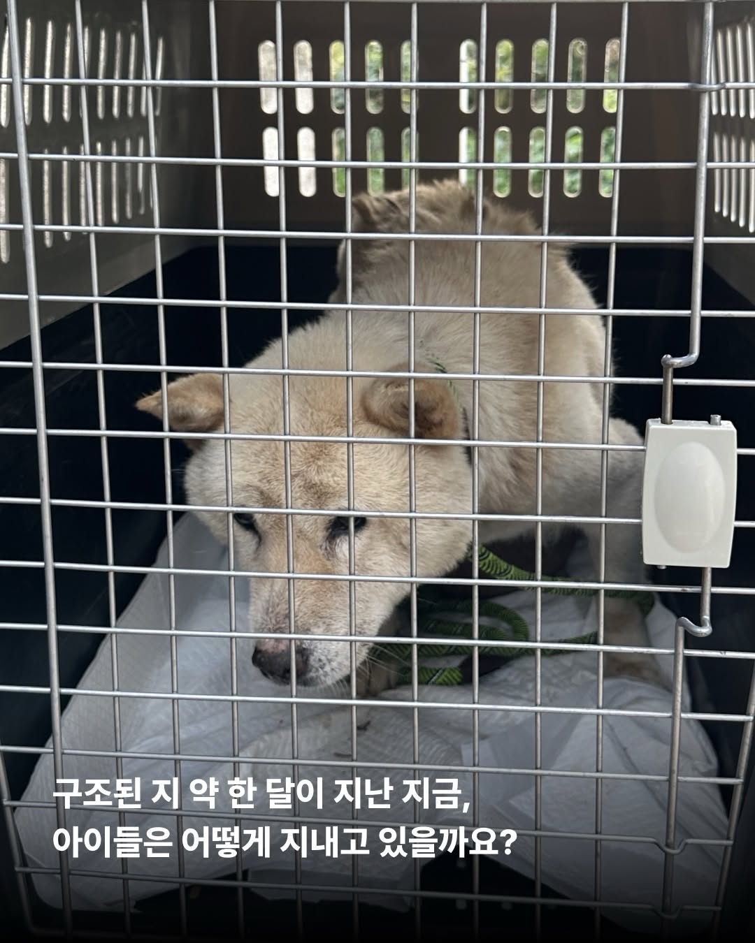 상세 사진 3