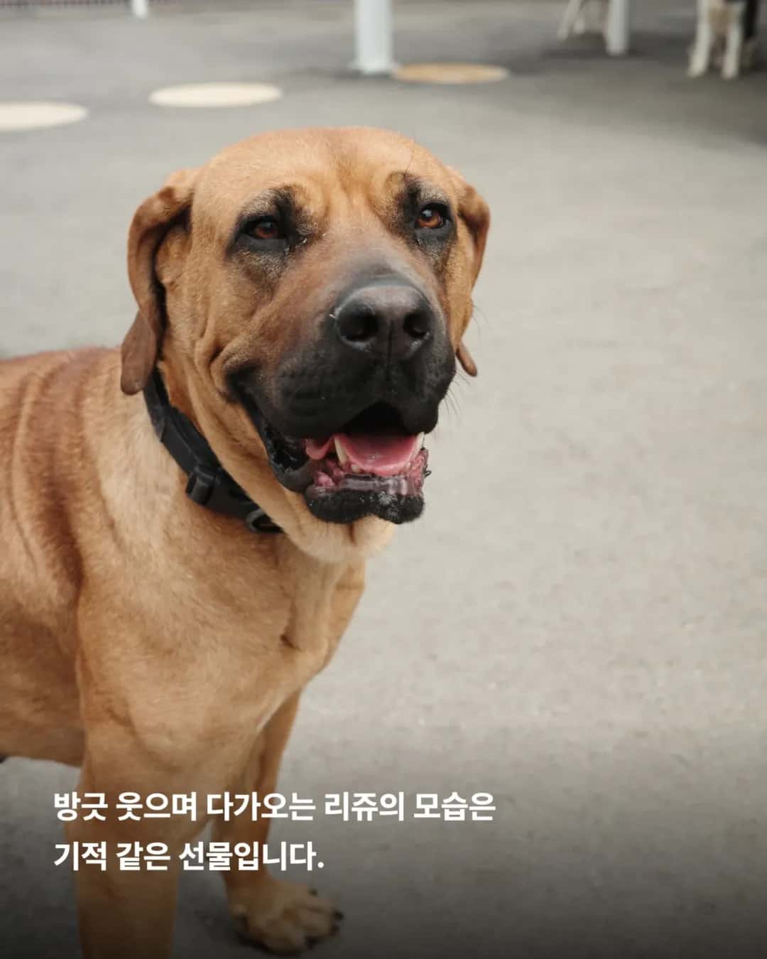 상세 사진 5