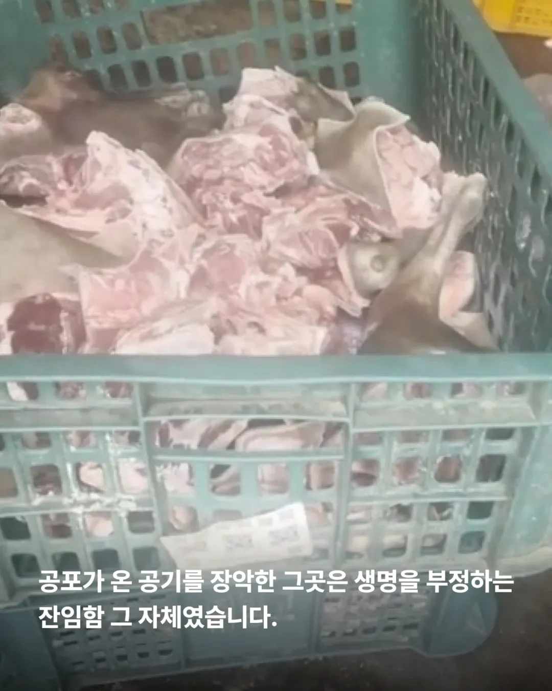 상세 사진 4