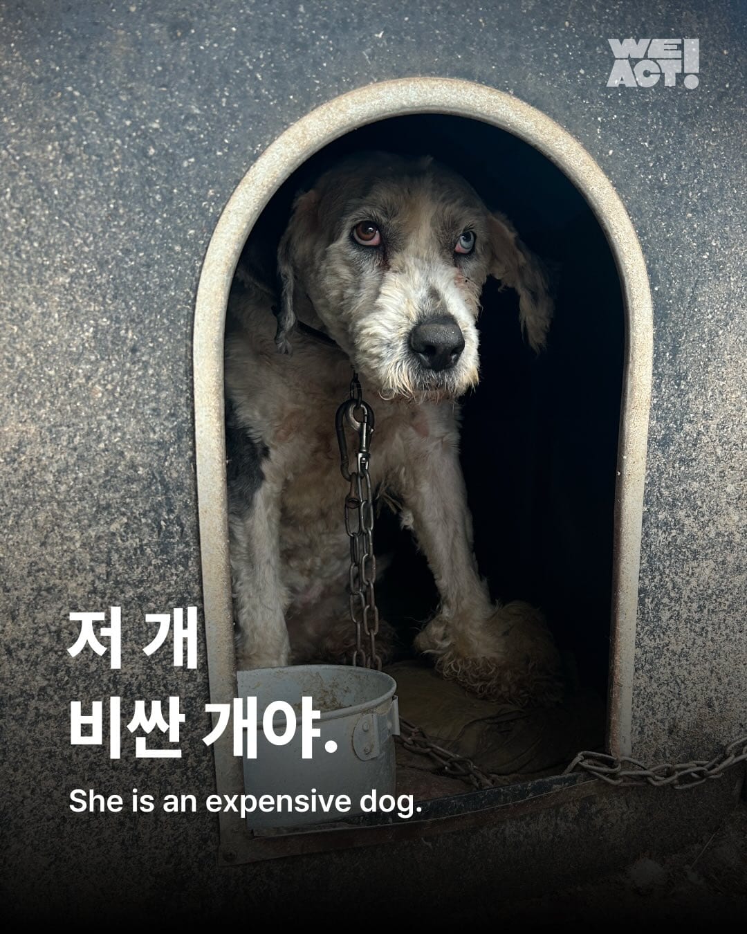 상세 사진 1
