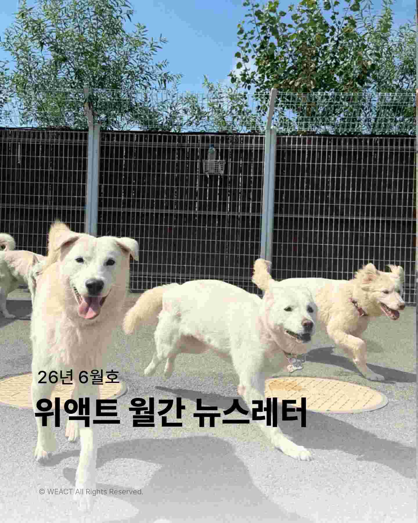 상세 사진 1