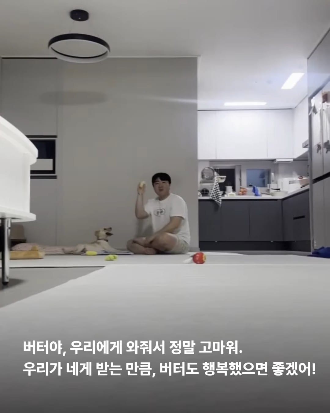 상세 사진 15