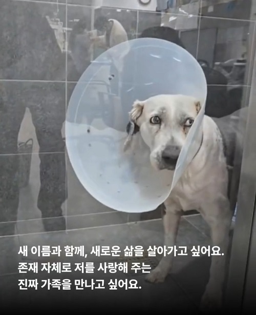 상세 사진 11