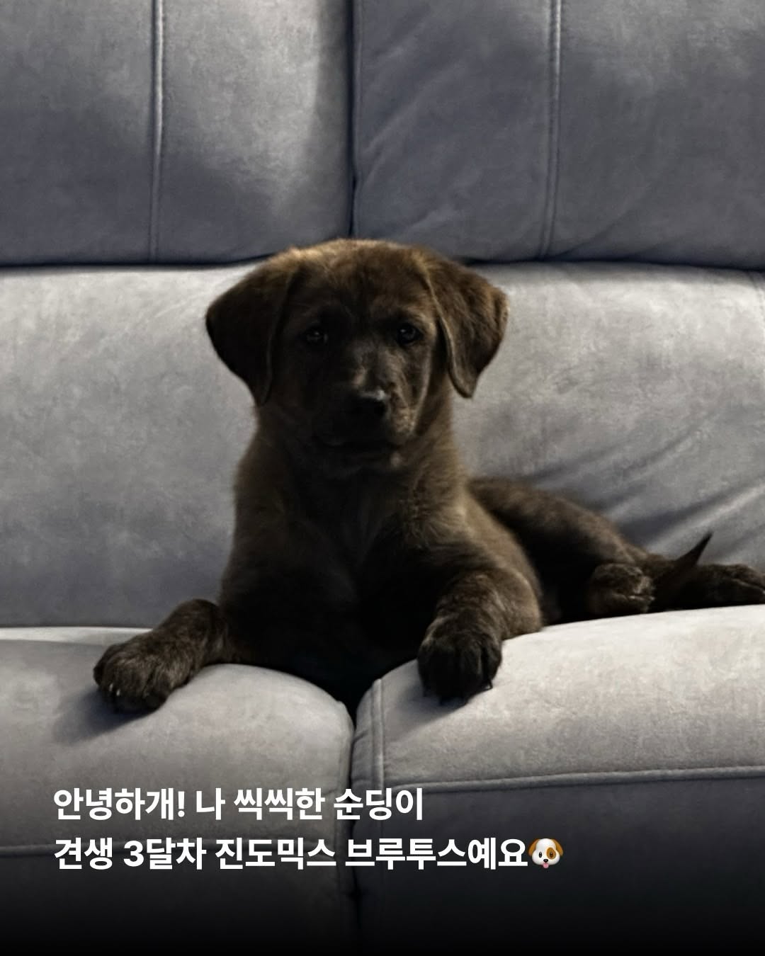상세 사진 2