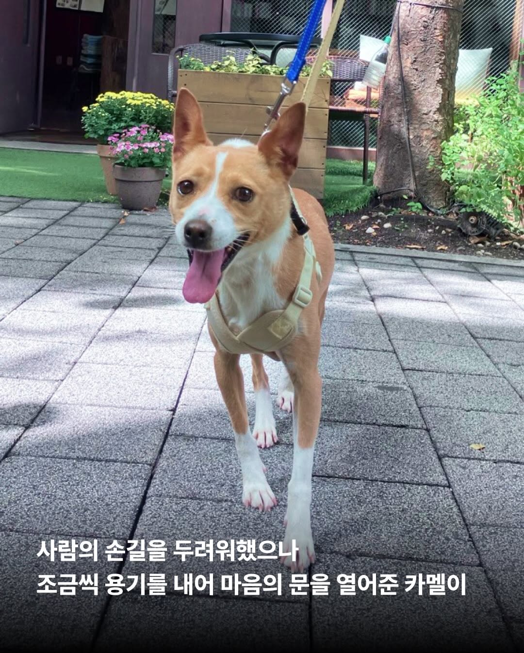 상세 사진 3
