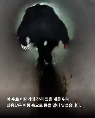상세 사진 3