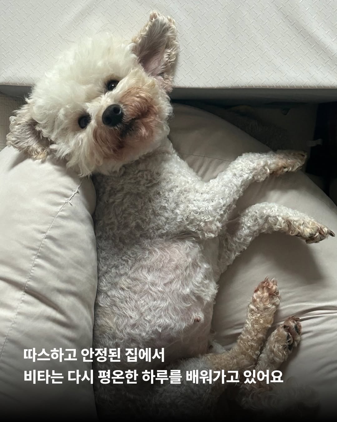 상세 사진 5