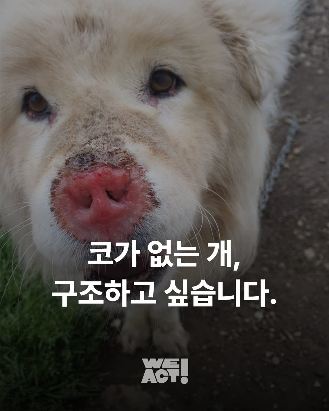 상세 사진 2