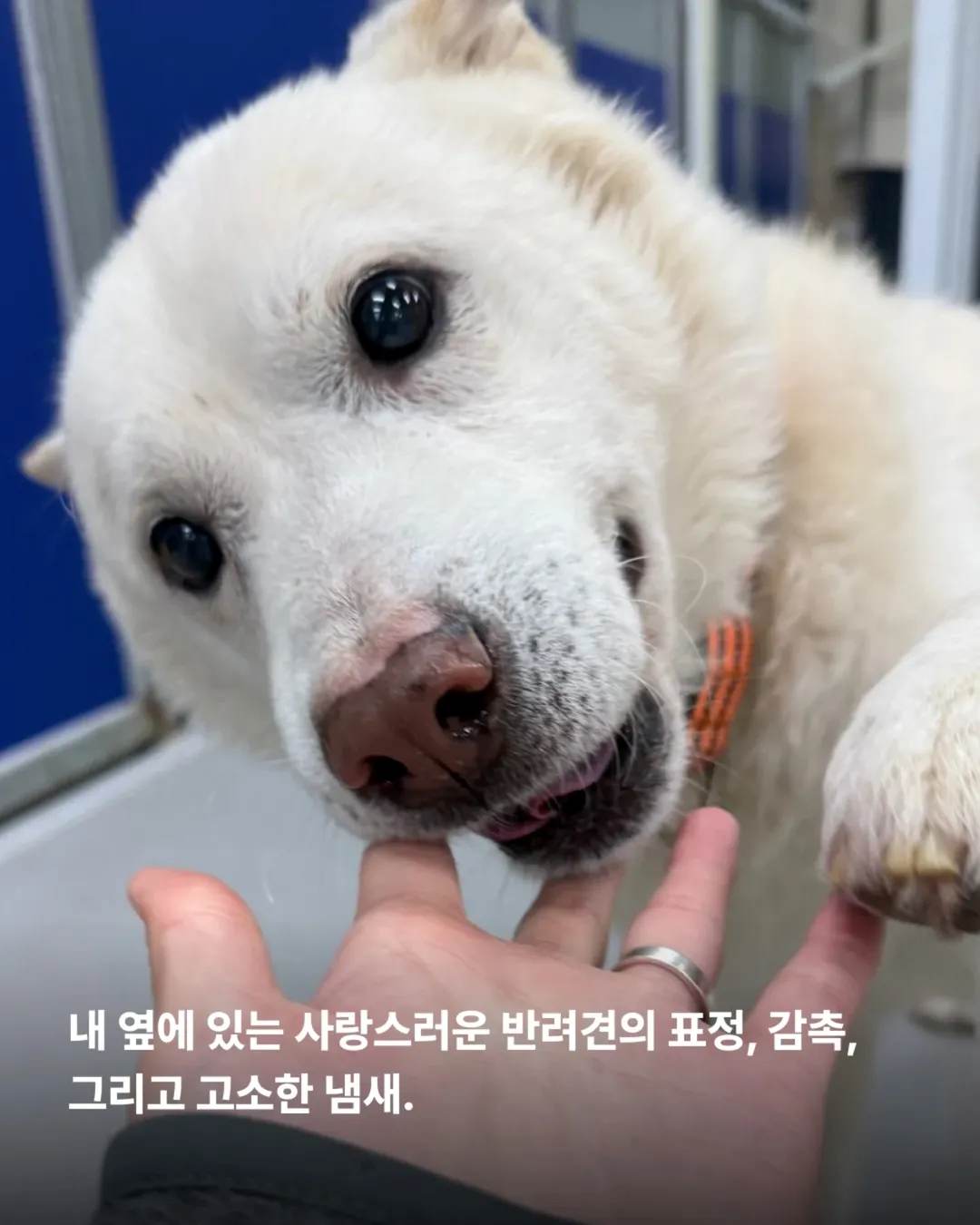 상세 사진 2