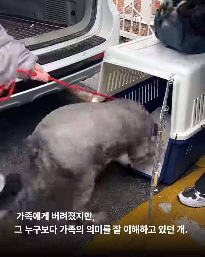 상세 사진 6