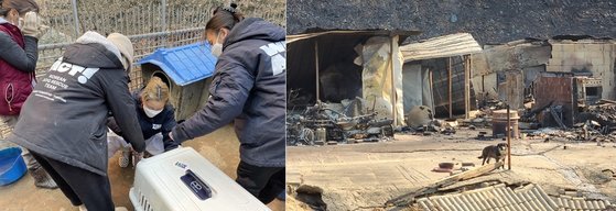 상세 사진 3