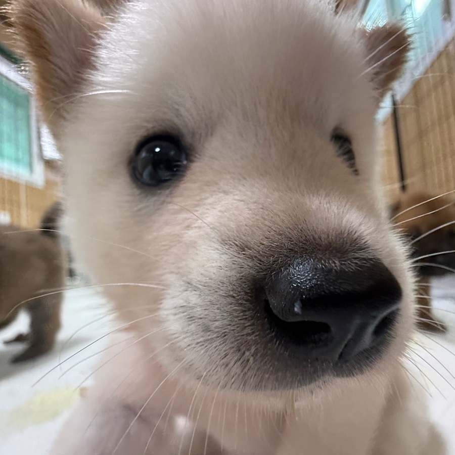 상세 사진 4