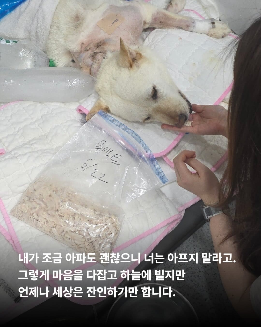 상세 사진 3