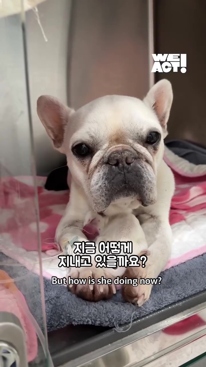 상세 사진 9