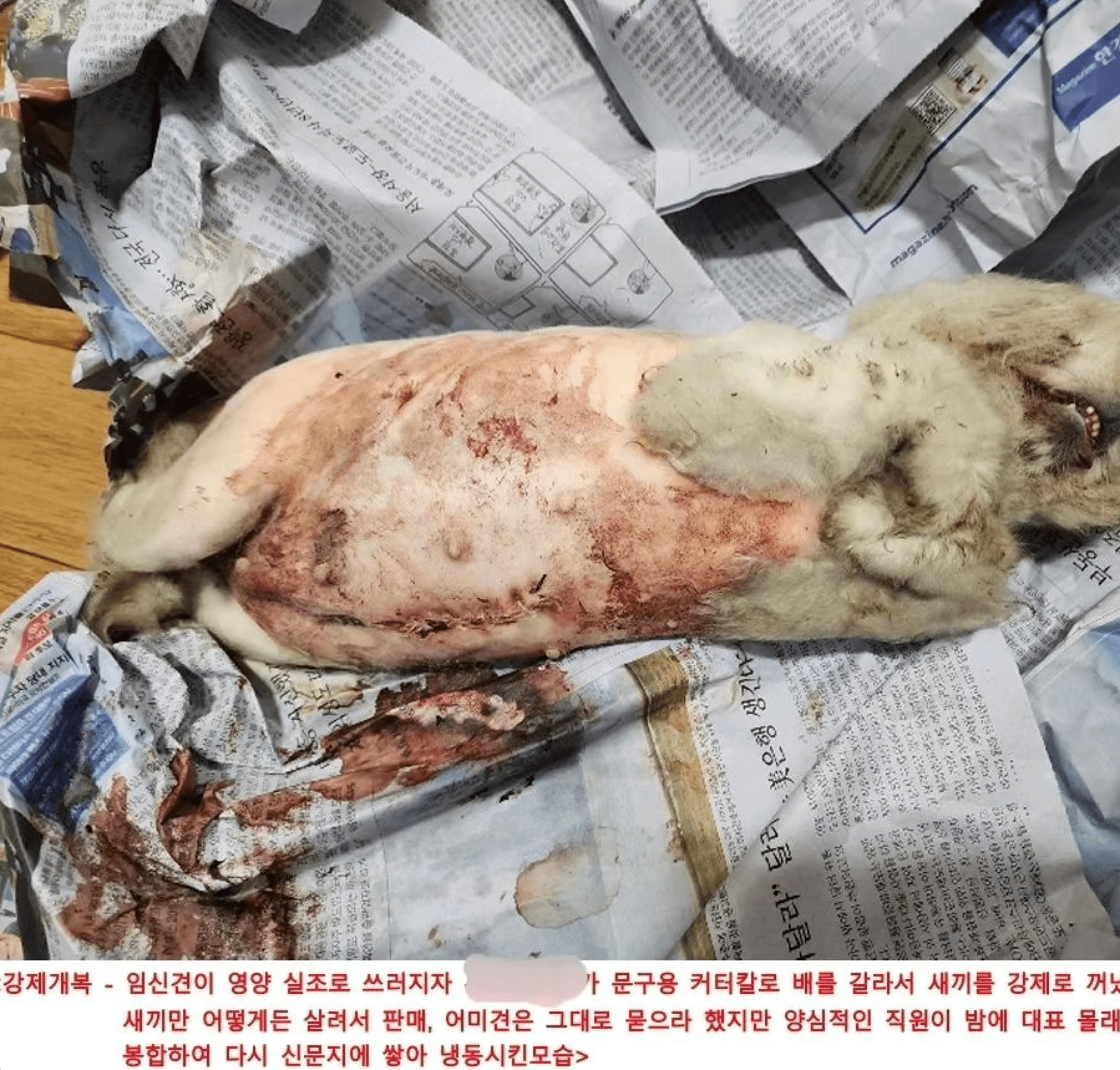 상세 사진 1