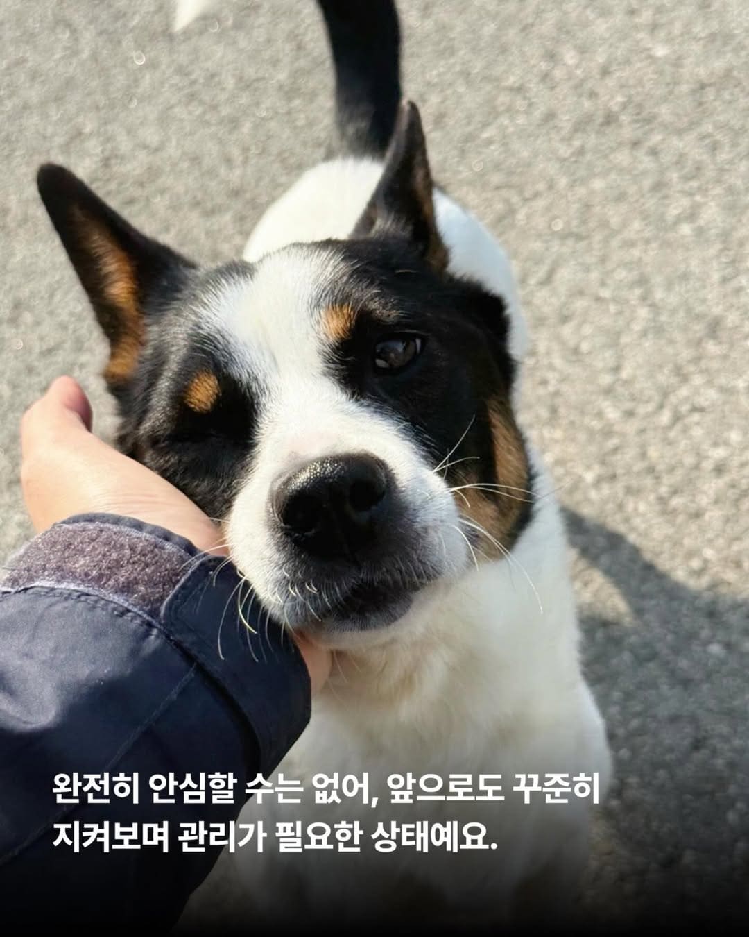 상세 사진 6