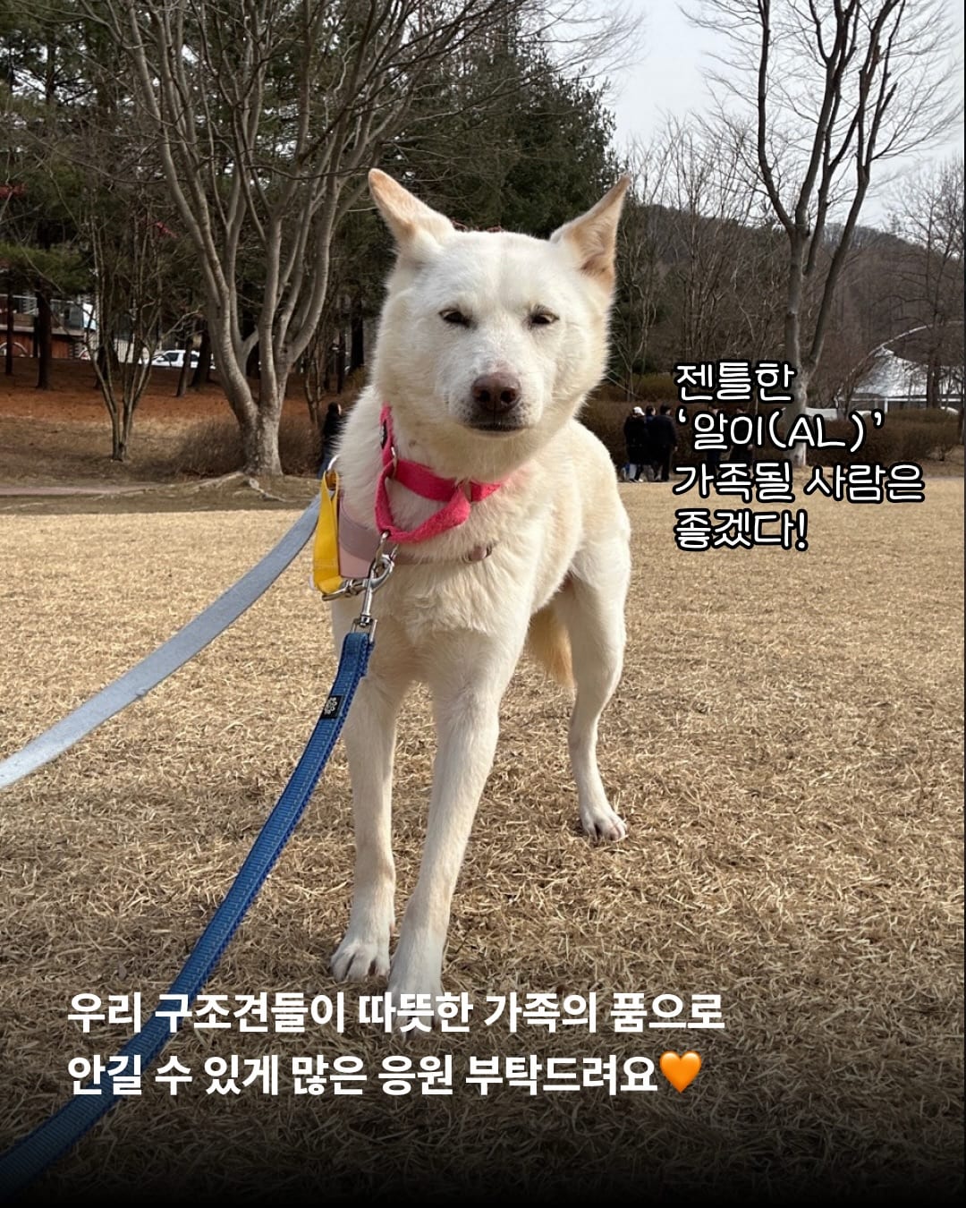 상세 사진 18