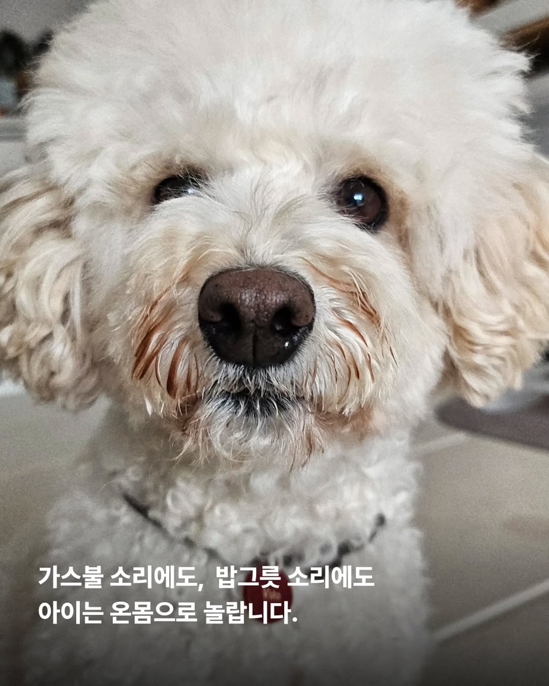 상세 사진 2