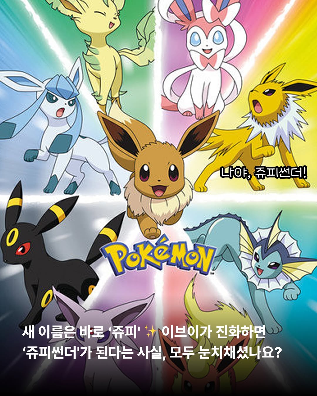 상세 사진 9