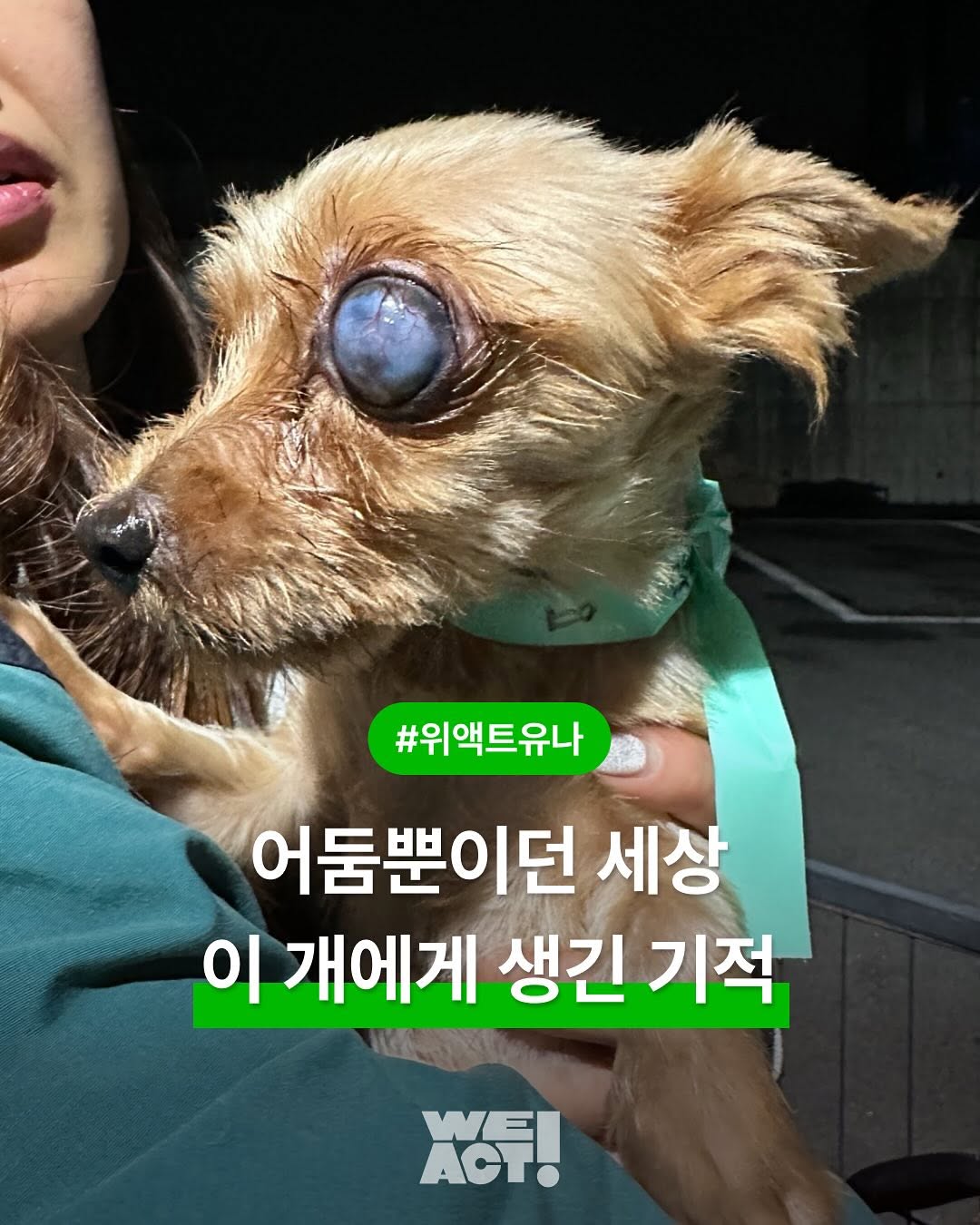 상세 사진 1