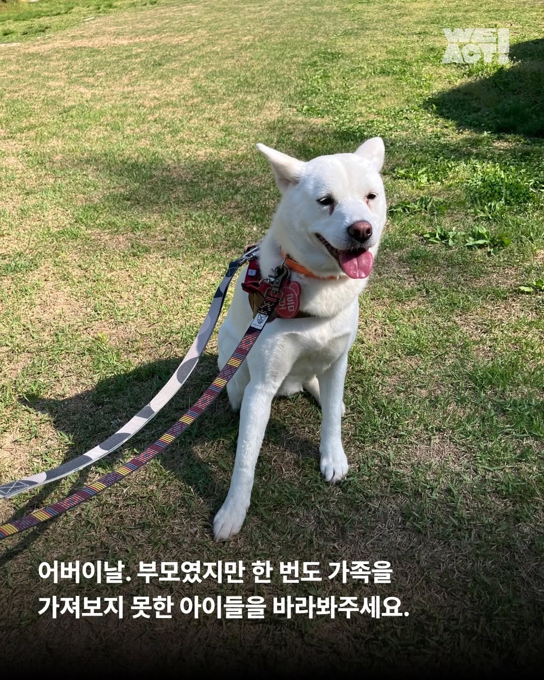 상세 사진 8