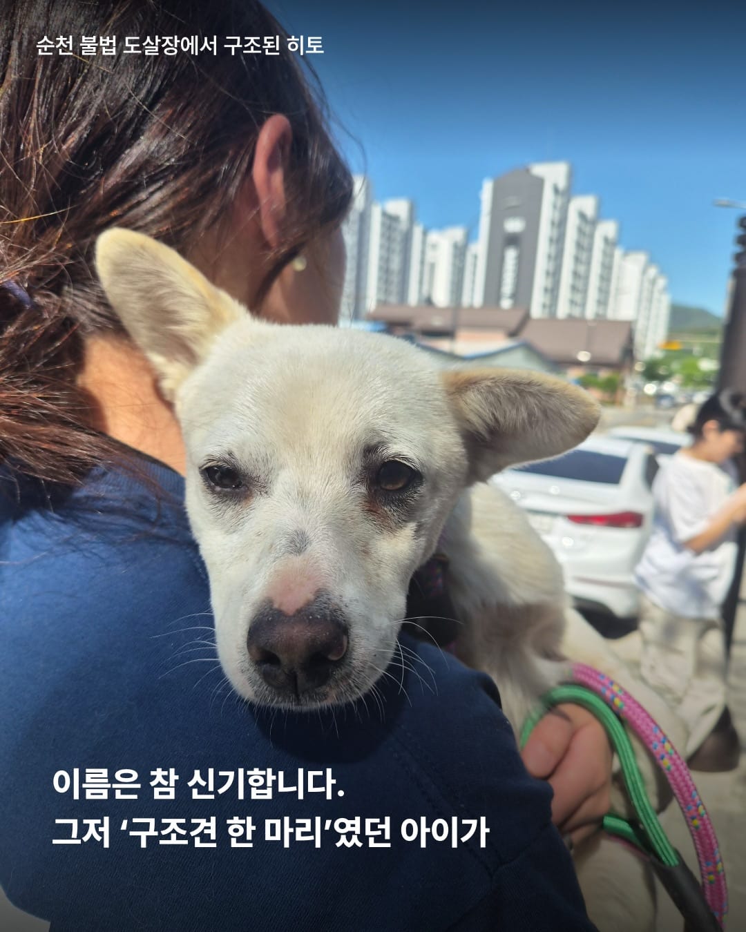 상세 사진 2