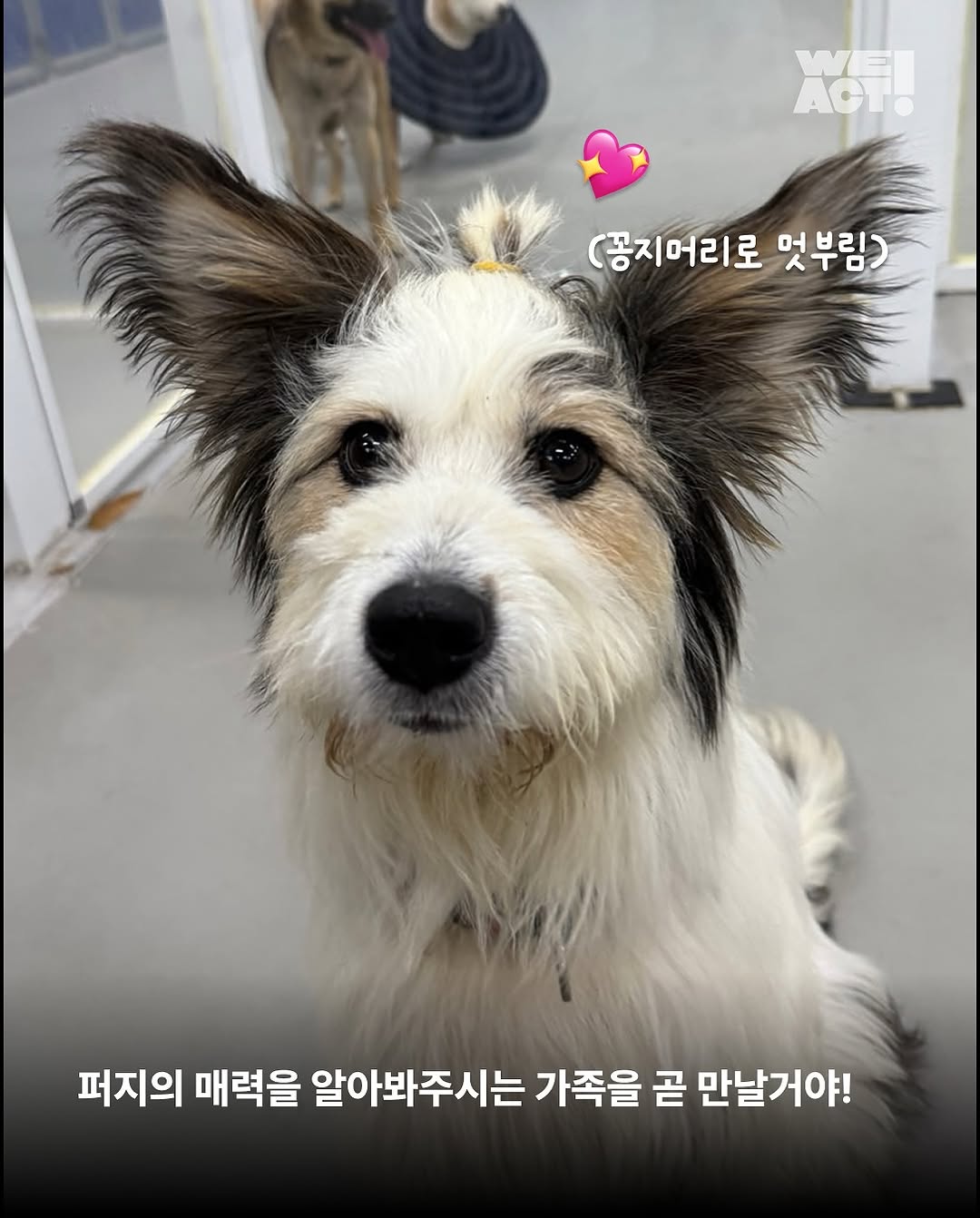 상세 사진 13