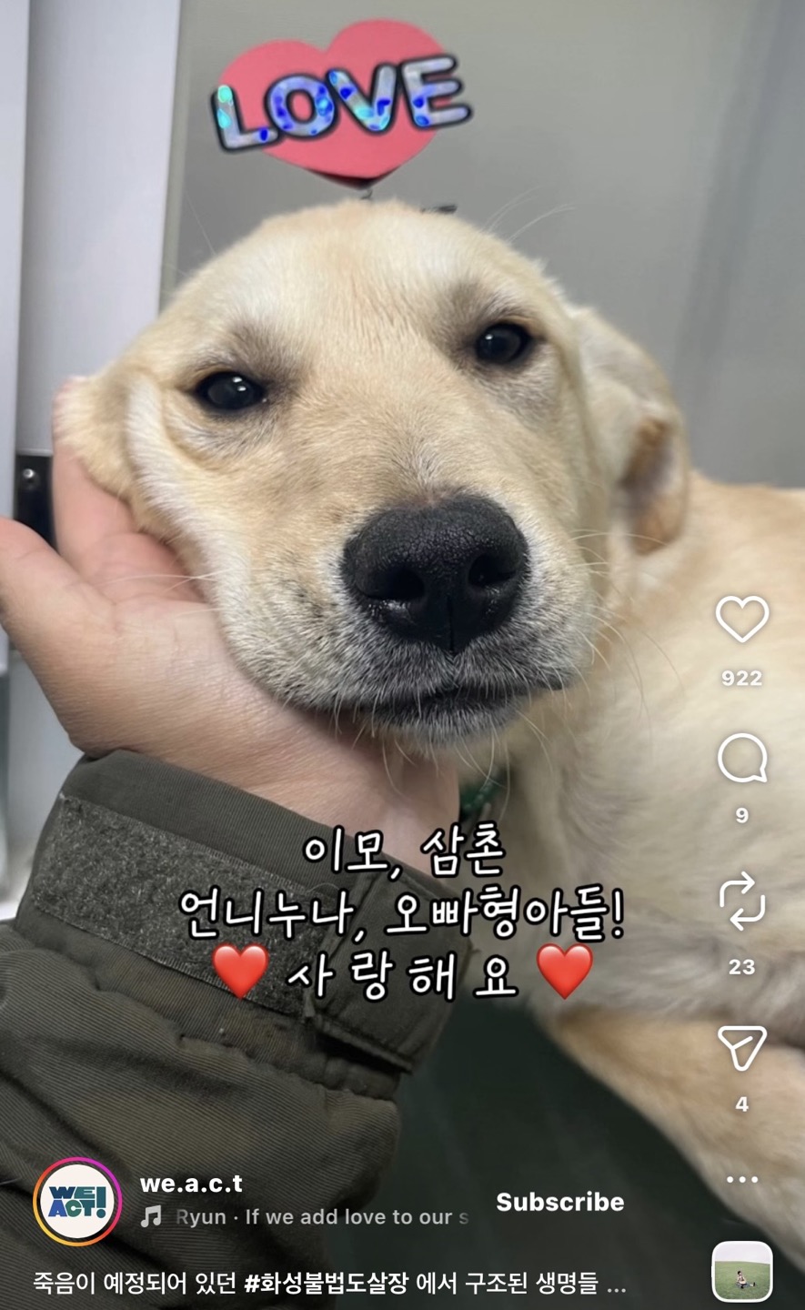 상세 사진 16
