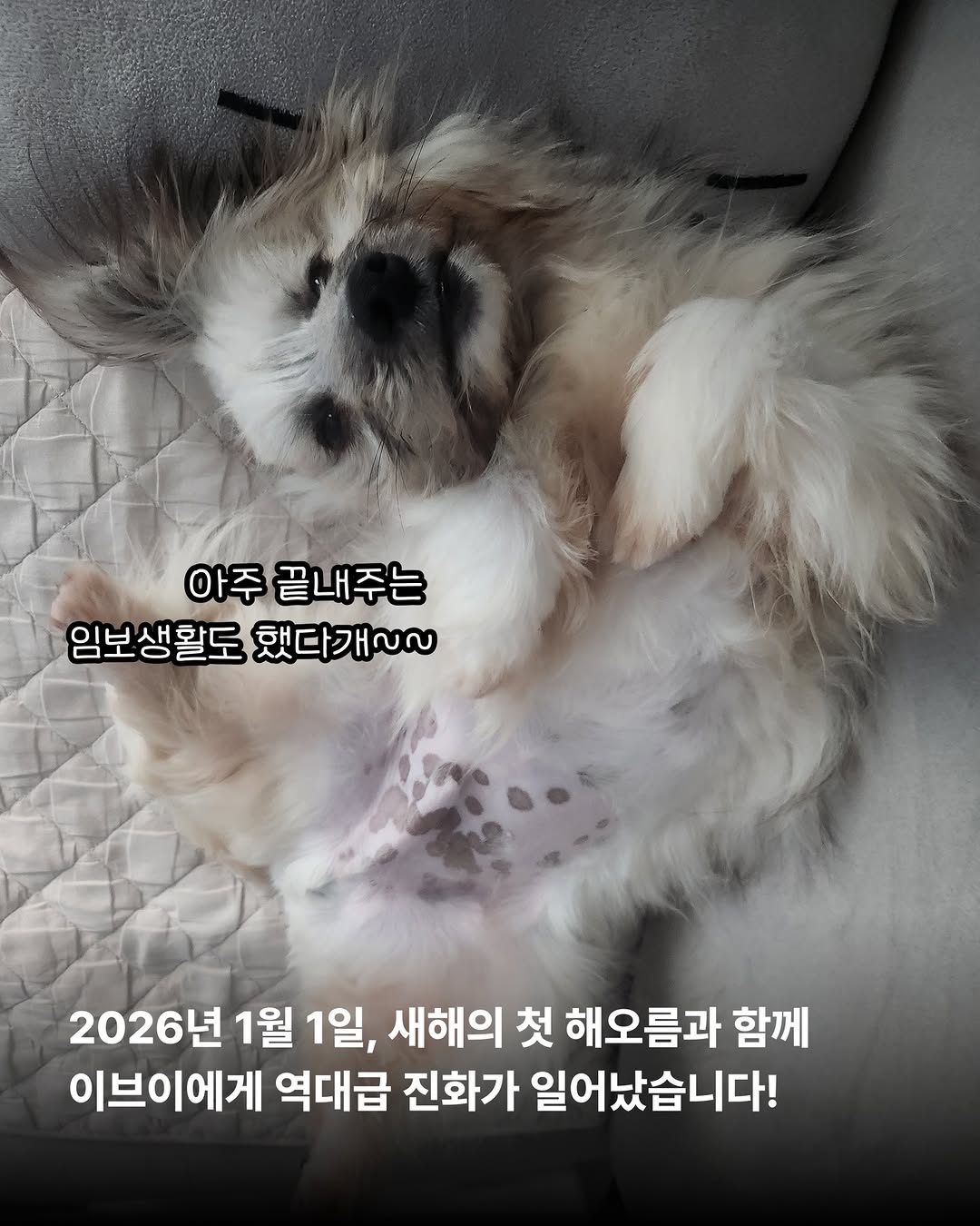 상세 사진 7