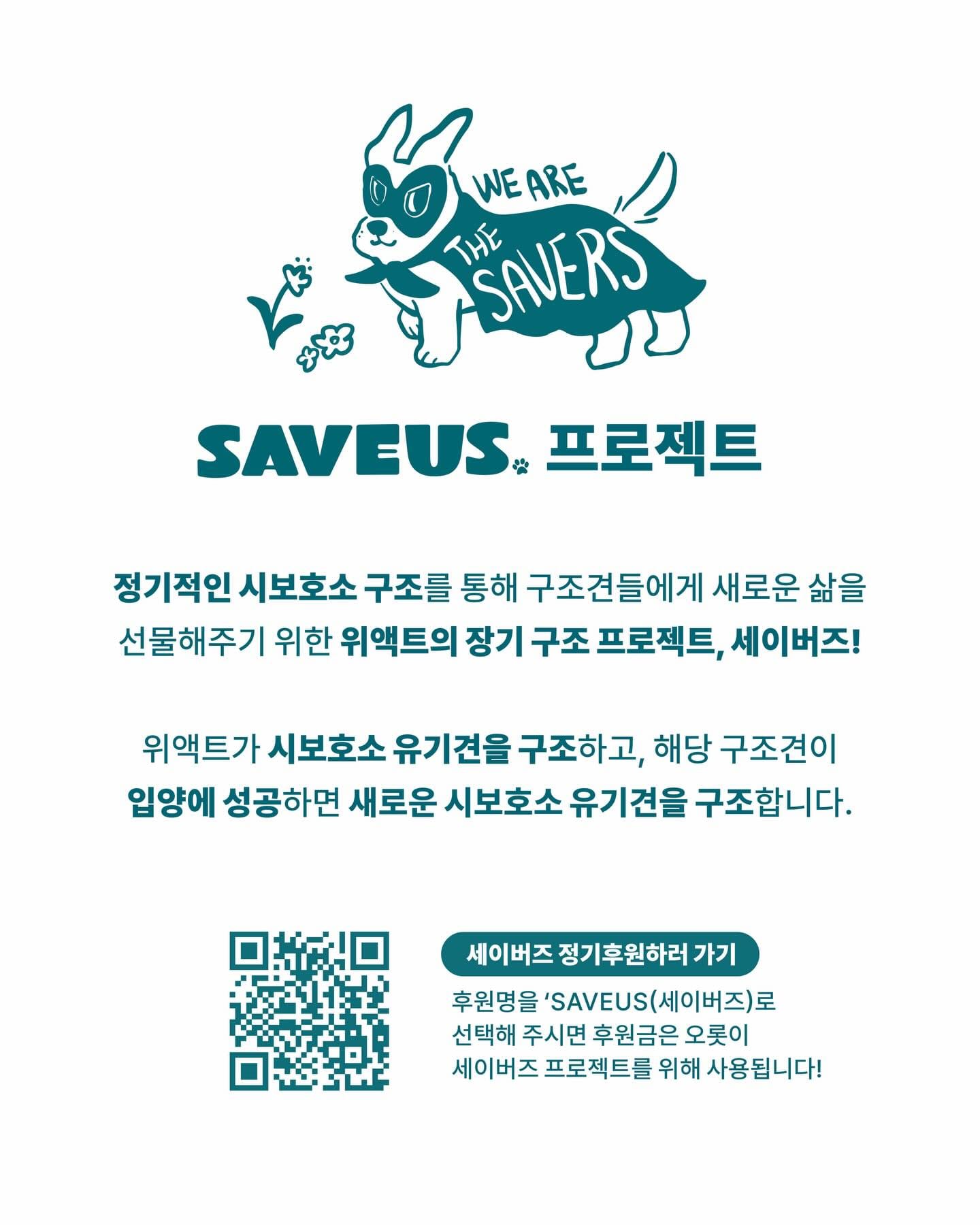상세 사진 13