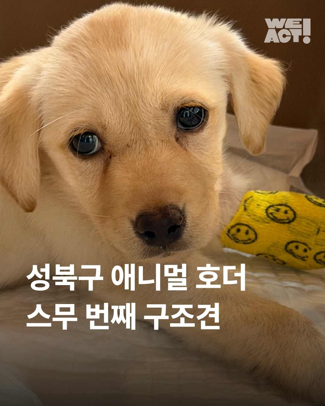 상세 사진 1
