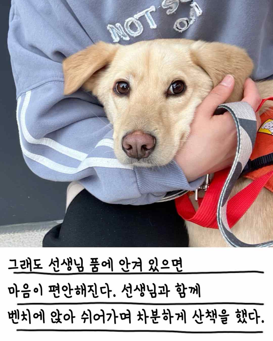 상세 사진 9