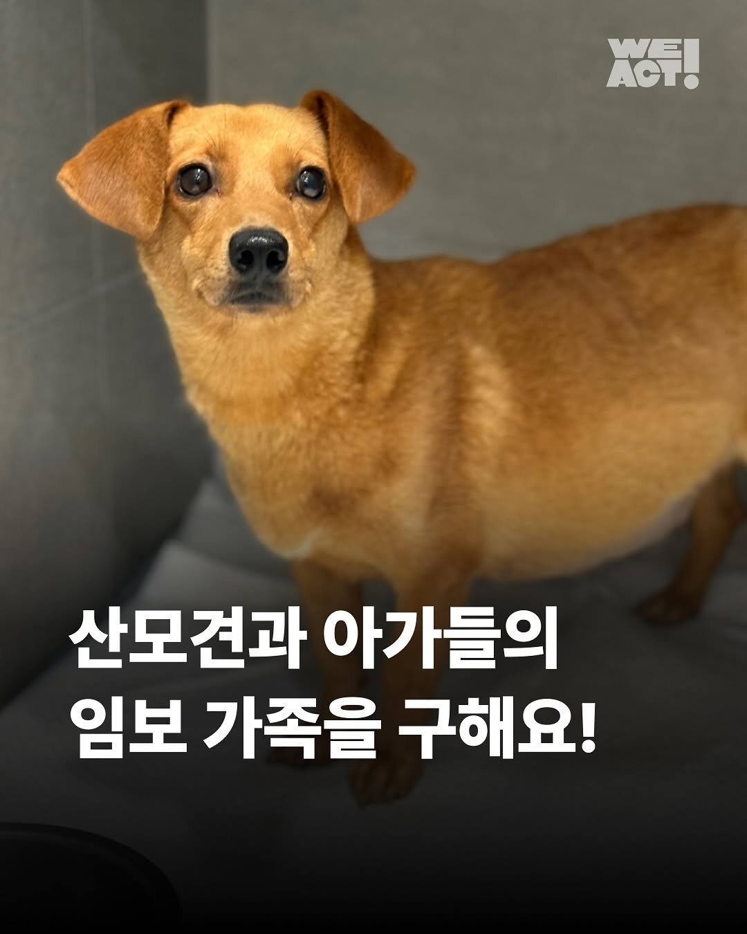 상세 사진 1