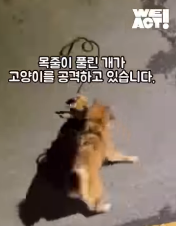 상세 사진 1