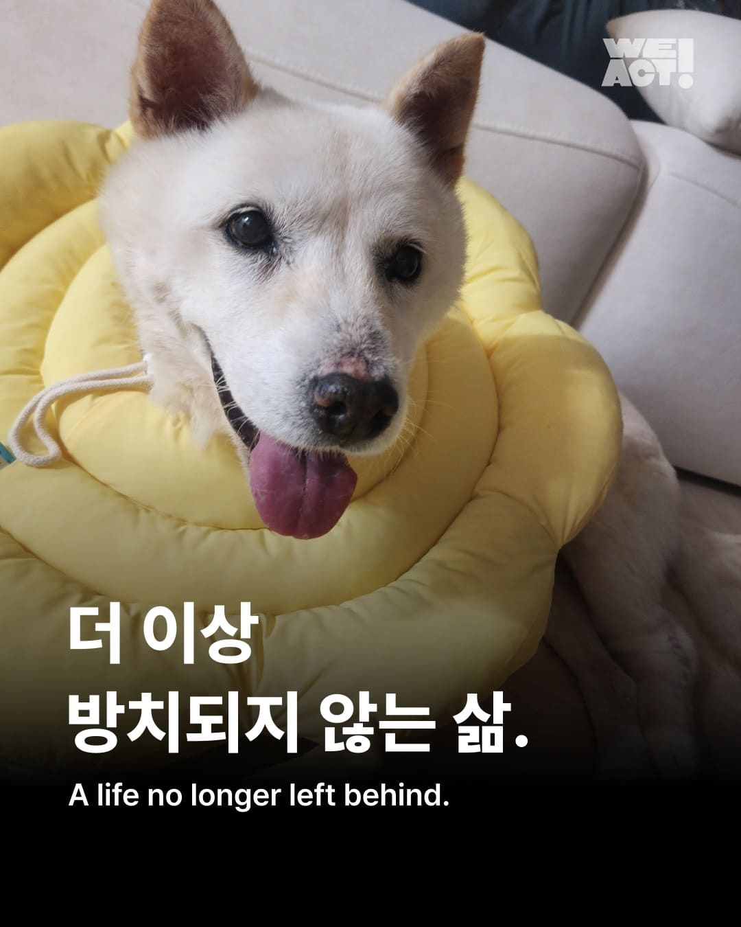 상세 사진 1