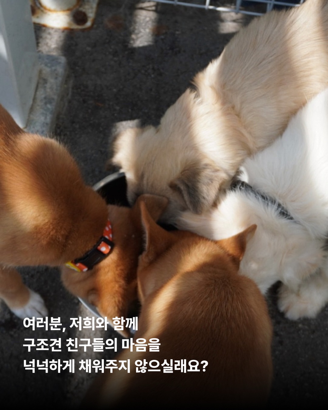상세 사진 10
