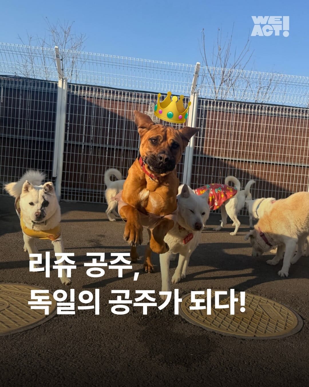 상세 사진 1