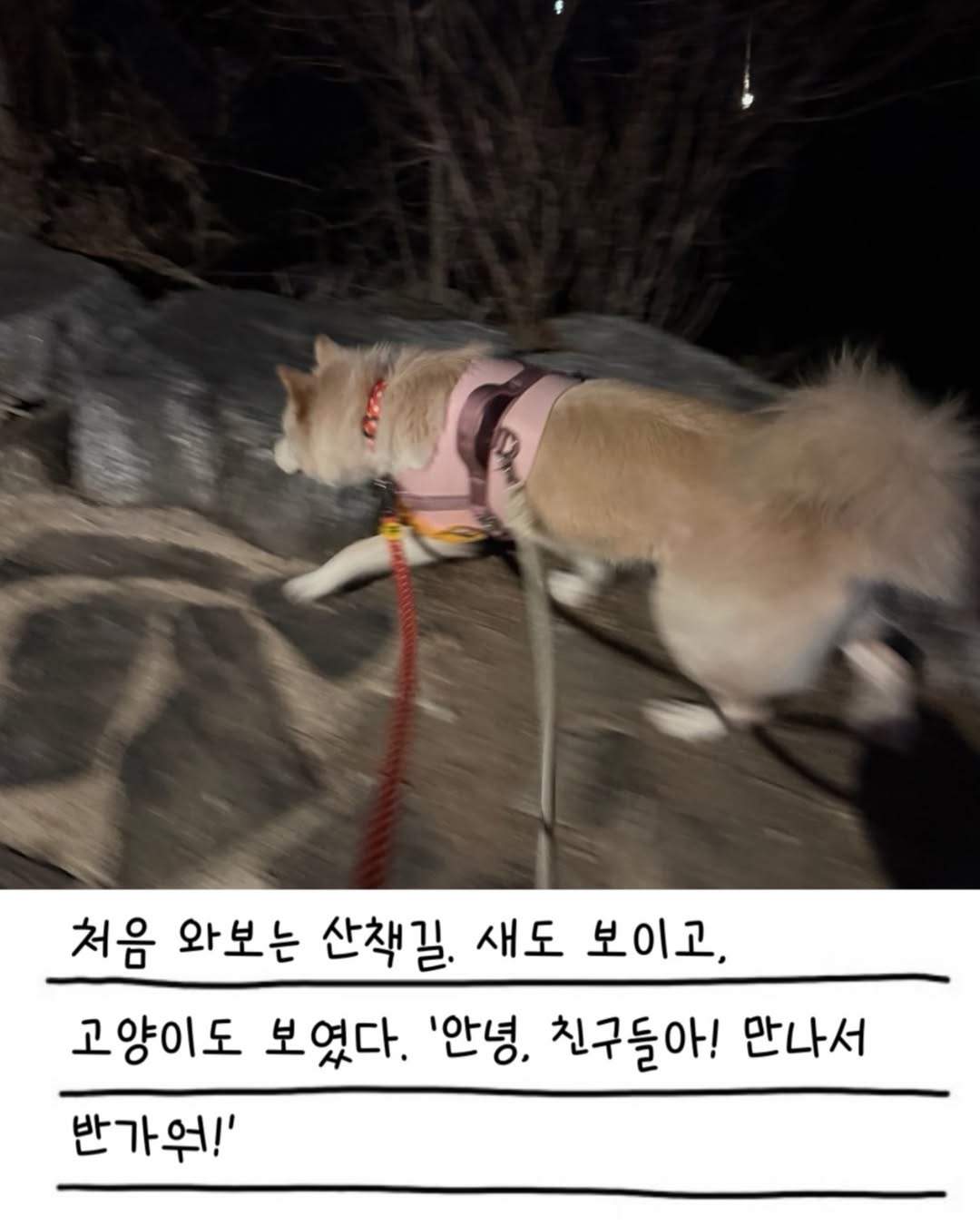 상세 사진 15