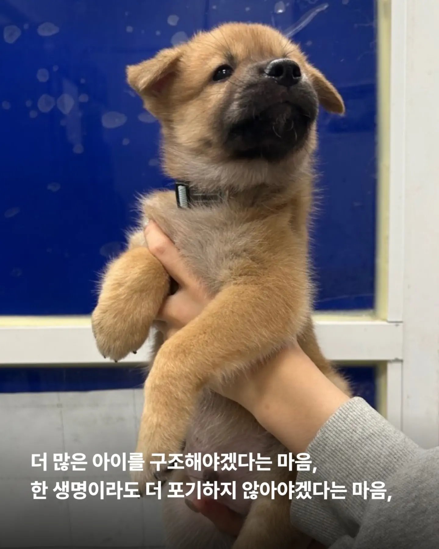 상세 사진 8