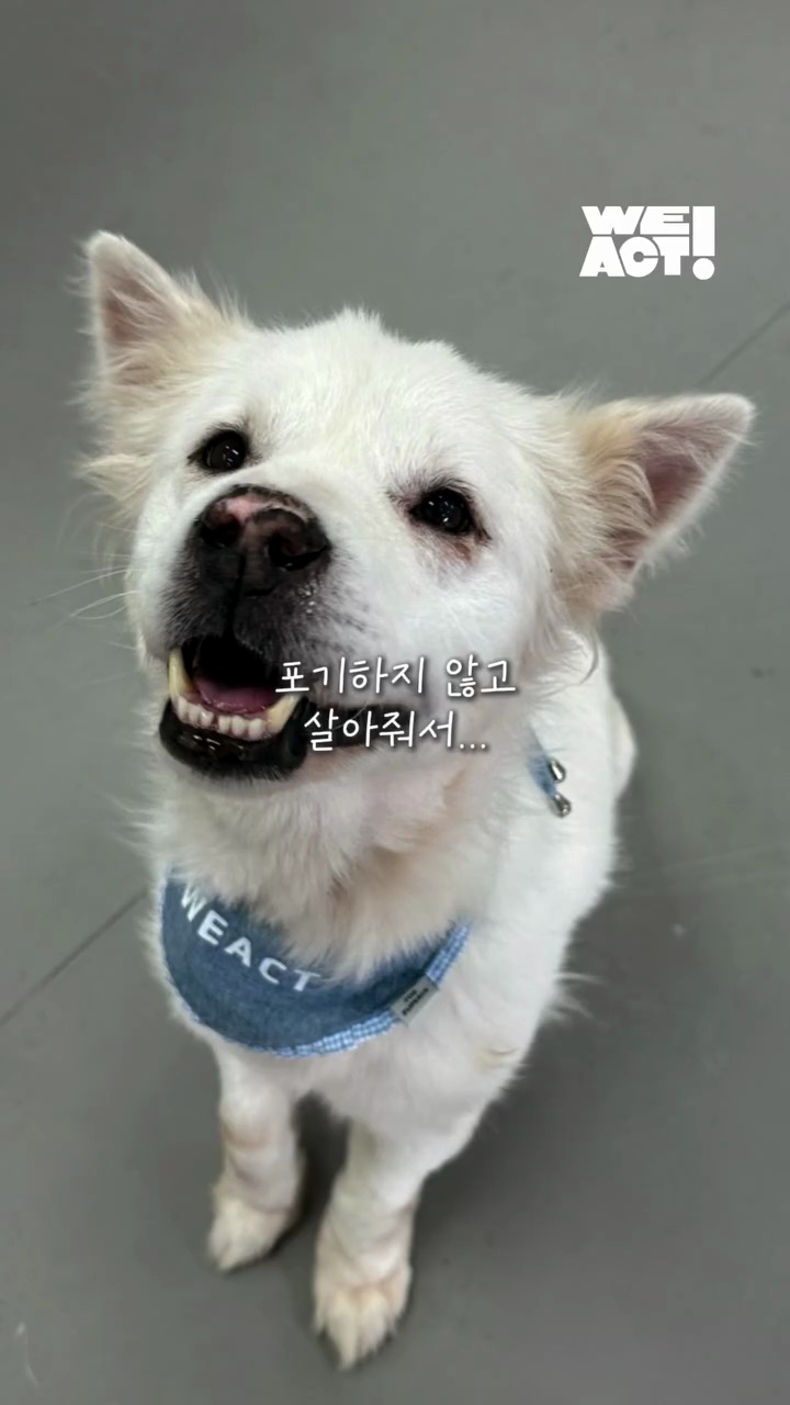 상세 사진 4