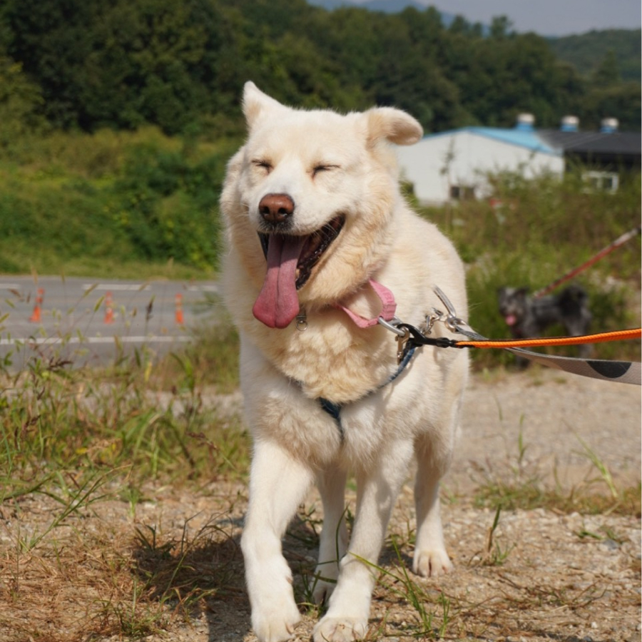 상세 사진 1
