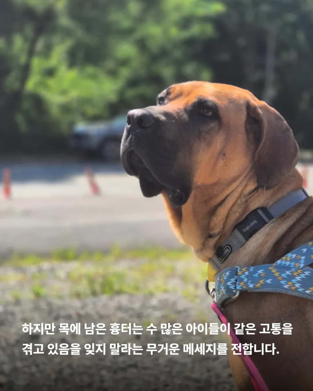 상세 사진 6