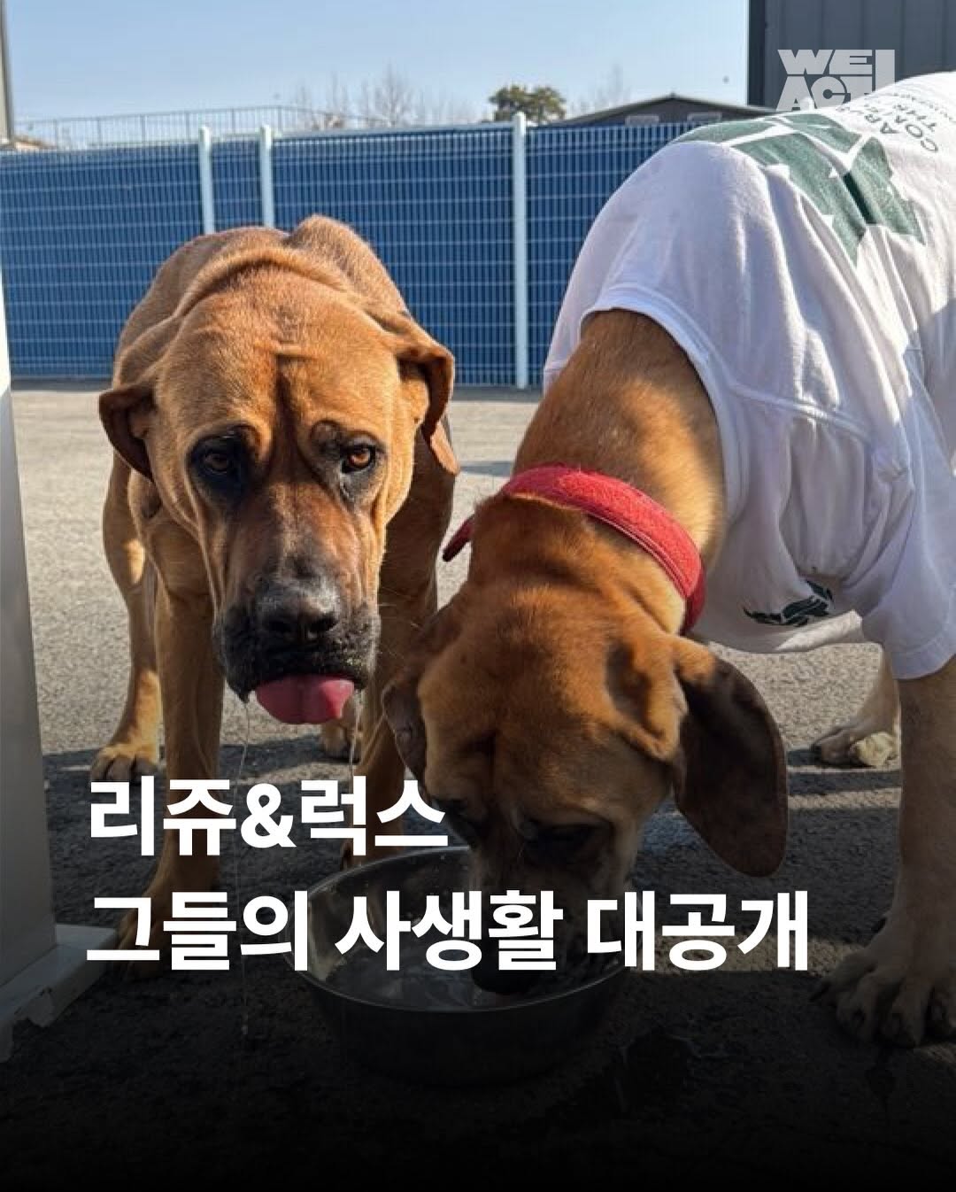 상세 사진 1