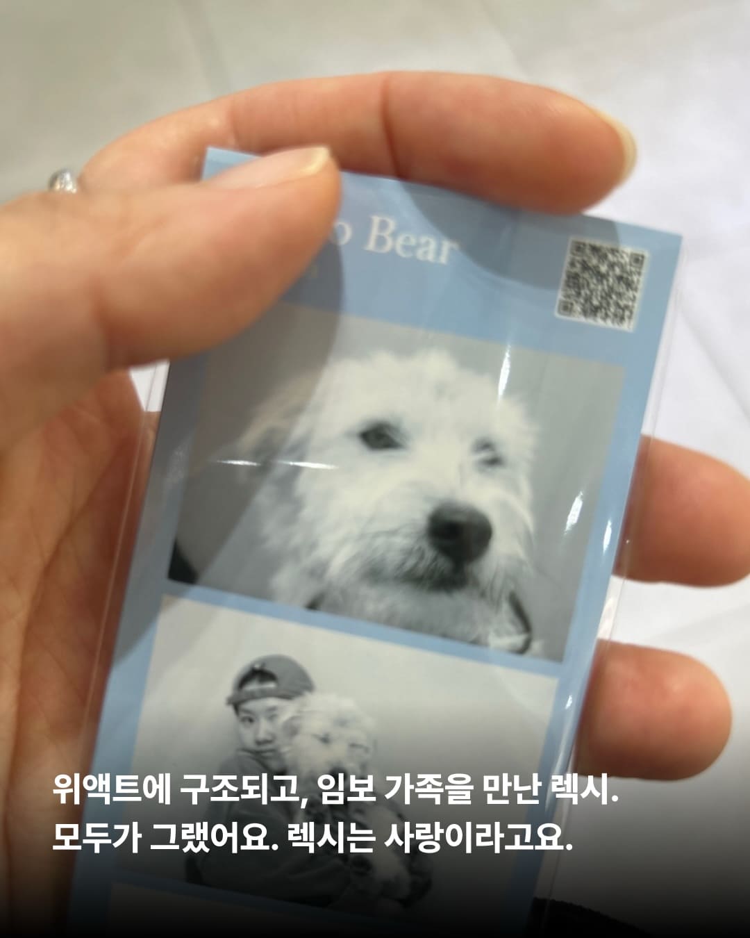 상세 사진 3