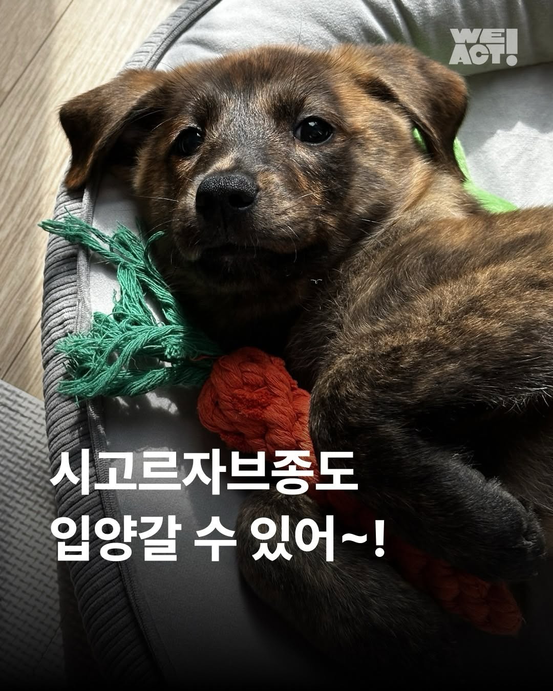 상세 사진 1
