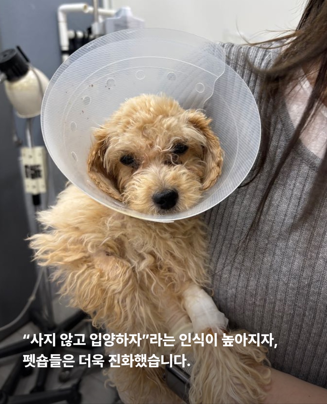 상세 사진 8