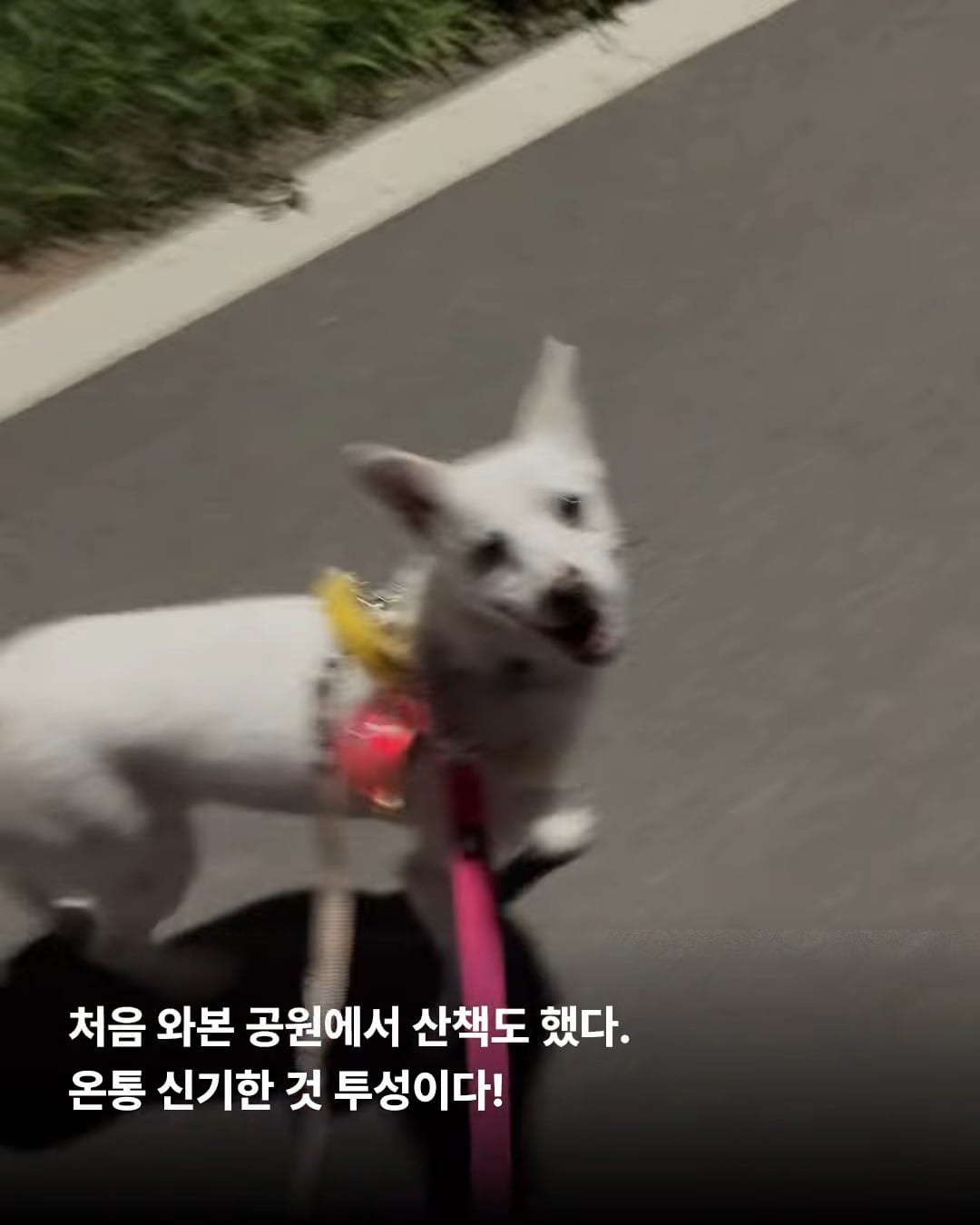 상세 사진 5